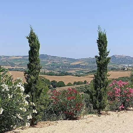 Appartamento Olivo Collecorvino ภายนอก รูปภาพ