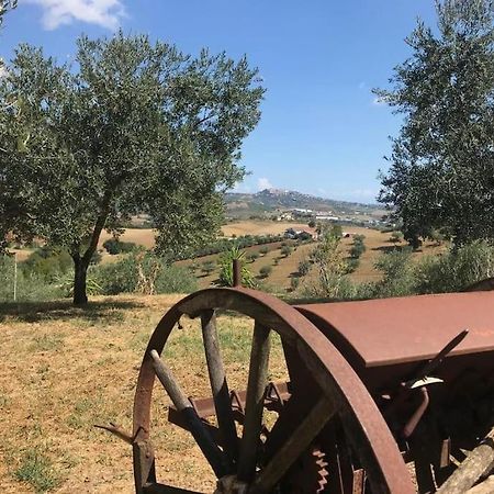 Appartamento Olivo Collecorvino ภายนอก รูปภาพ