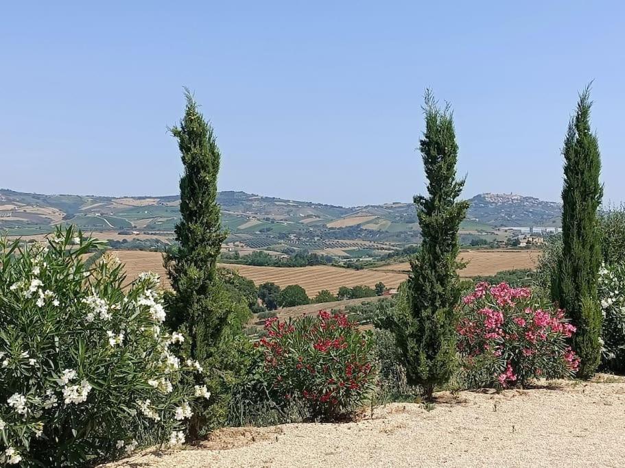 Appartamento Olivo Collecorvino ภายนอก รูปภาพ