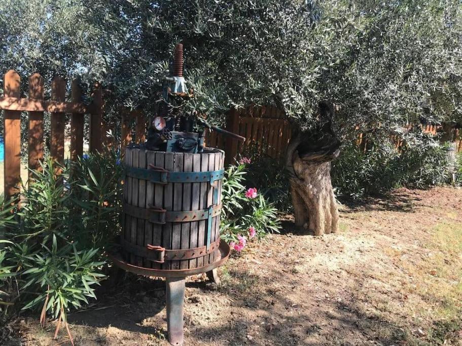Appartamento Olivo Collecorvino ภายนอก รูปภาพ
